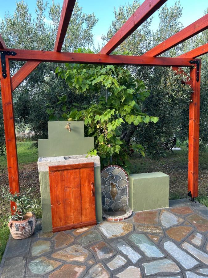Green Olive Studios 2 Agios Mamas  Exterior photo